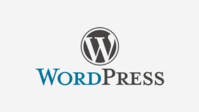 Bazele WordPress One2One