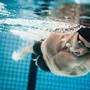 Dipl. Schwimmtrainer