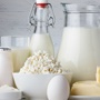 Ernährungstrainer B-Lizenz