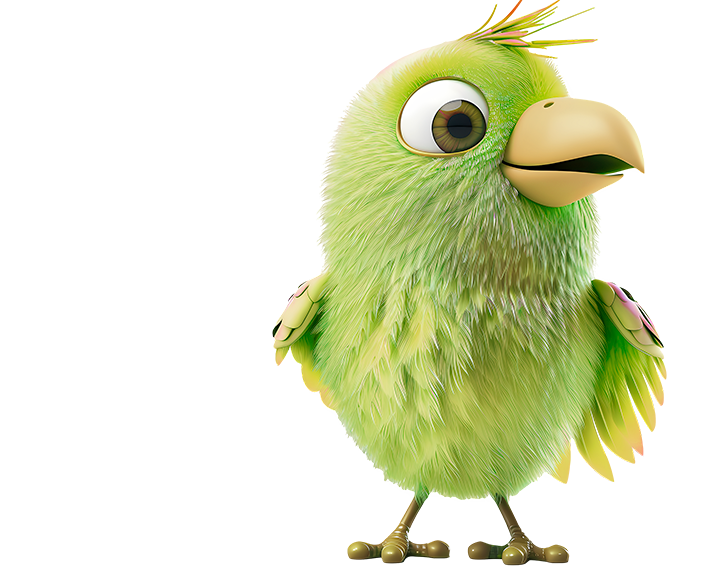 Early Bird