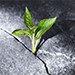 Resilience overview