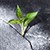 Resilience overview