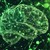 Biohacking - Kognitive Funktionen