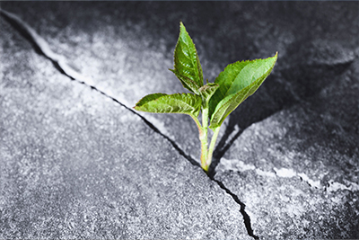 Resilienz Unterrichtsfach